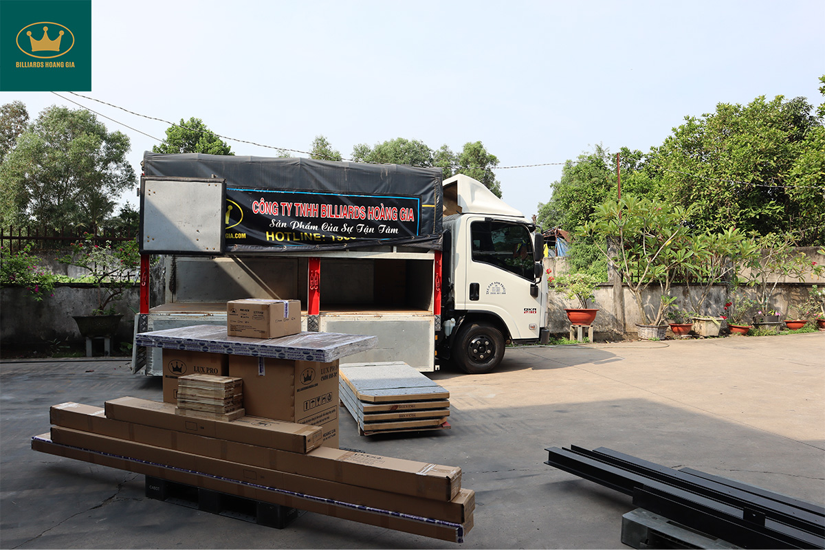 lĩnh vực hoạt động